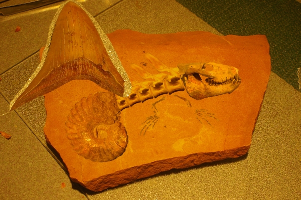 Creation of Whatchamacallitasaurus: Step 12